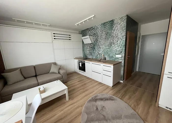 Luxury Apartment