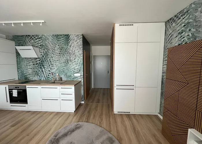 Luxury Apartment